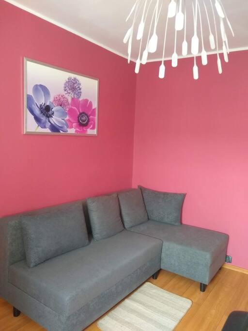 Apartament Z Widokiem Na Zatoke, Hel, Port I Lasy Appartement Gdańsk Buitenkant foto